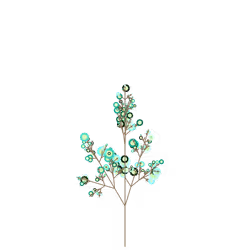 Solar Shadbush