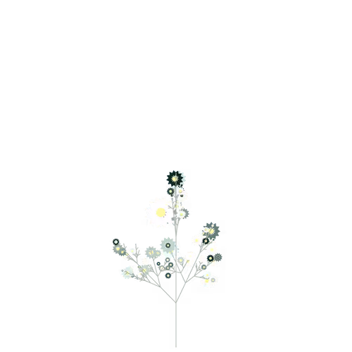 Nubloomfractal