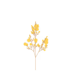 Mammoth Flax