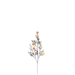 Dire Bush