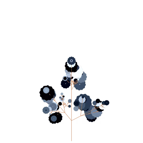 Nubloomfractal