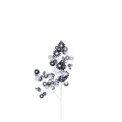 Nubloomfractal