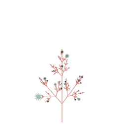 Skeletal Bower