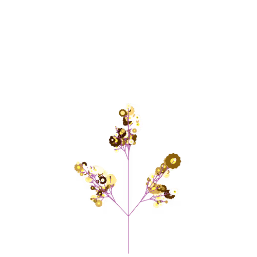 Nubloomfractal