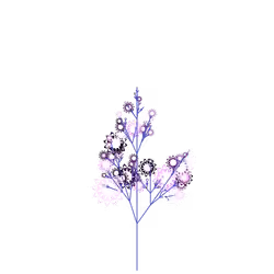 Nervous Thimbleberry