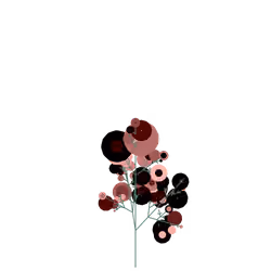 Toxic Jack-in-the-Bush