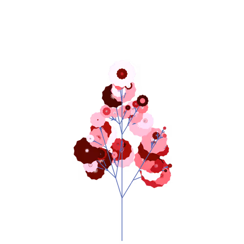 Nubloomfractal