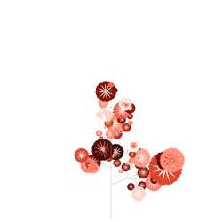 Restoration Feverfew