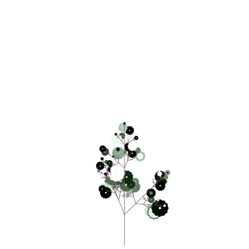 Nubloomfractal