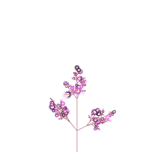 Nubloomfractal