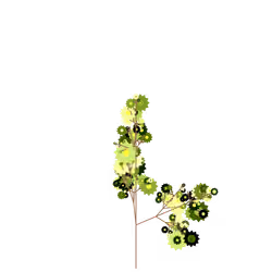 Funky Thimbleweed