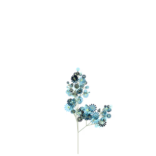 Nubloomfractal