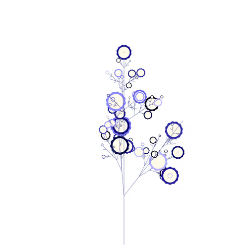 Nubloomfractal