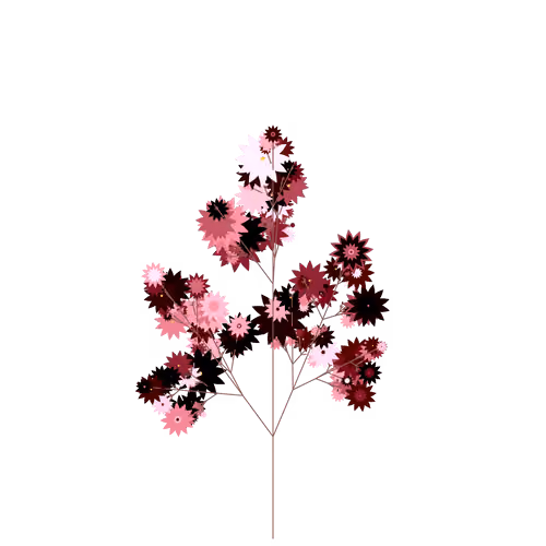 Ancestor Juniper