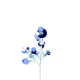 3008