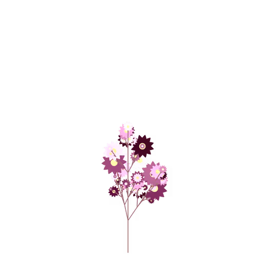 Nubloomfractal
