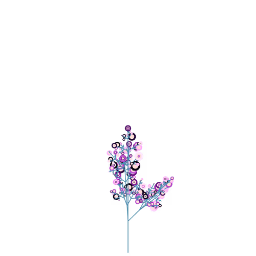 Nubloomfractal
