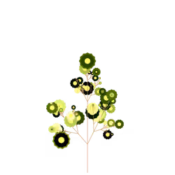 Bleeding Tulsi