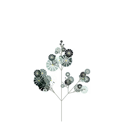 Nubloomfractal