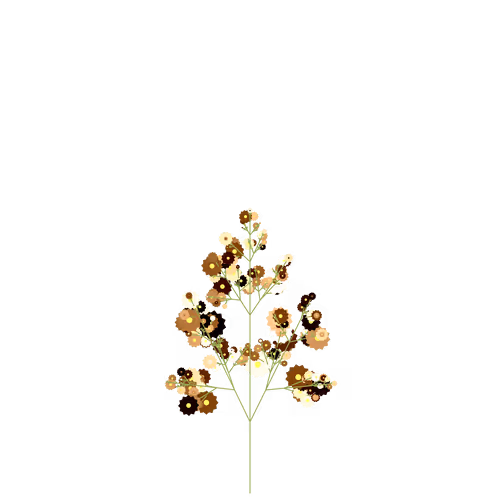 Nubloomfractal
