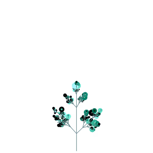 Nubloomfractal