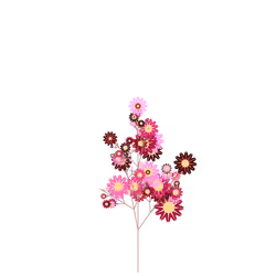 Gray Cress