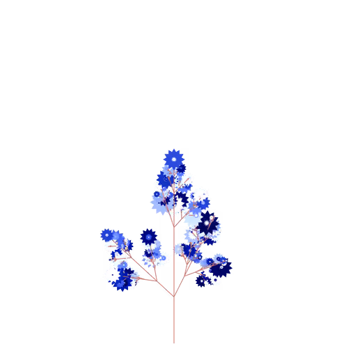 Phoenix Inkberry