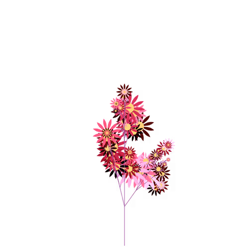 Nubloomfractal