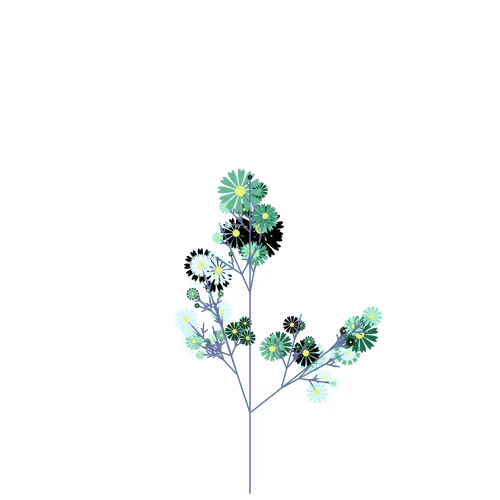 Nubloomfractal