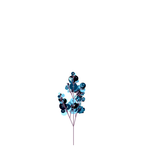 Nubloomfractal