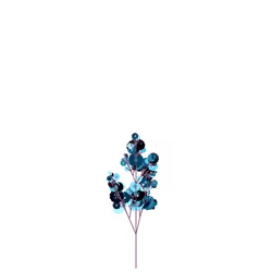 Dead Poppy