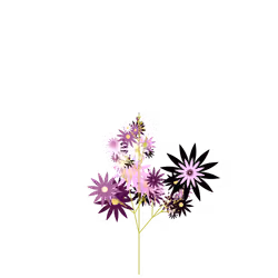 Tiny Silkweed