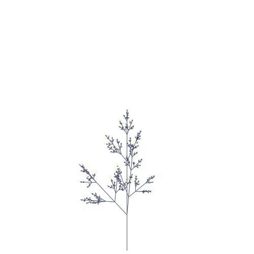 Nubloomfractal