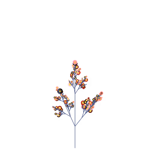 Nubloomfractal
