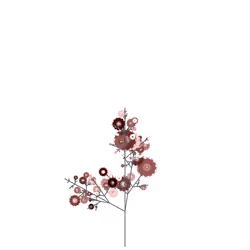 Dusk Huckleberry
