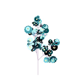 Gray Laceflower