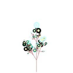 Canis Vine