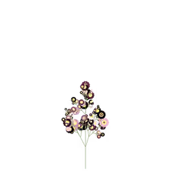 Shield Feverfew