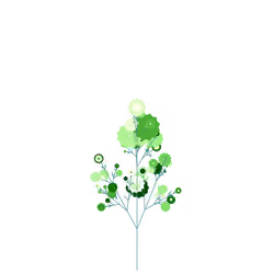 Ocean Fern