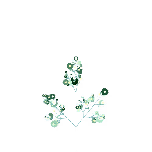 Nubloomfractal