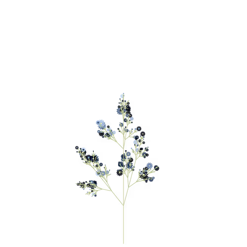 Nubloomfractal