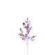 5498