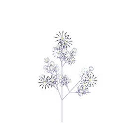 Sneeze Hellebore