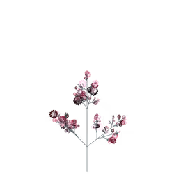Plague Sage