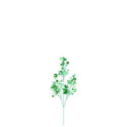 Smooth Joy