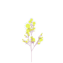 Sleeping Thimbleweed