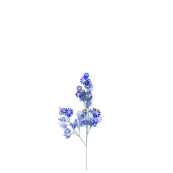 Sanguine Needle