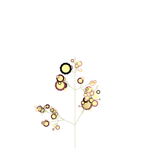 Nubloomfractal