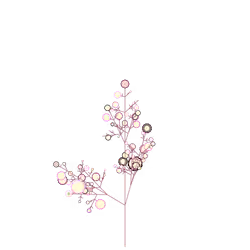 Restoration Root