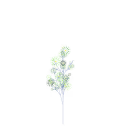 Putrid Wormwood